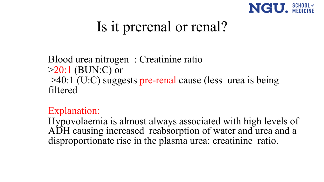 slide16.png