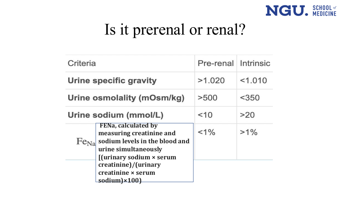 slide17.png