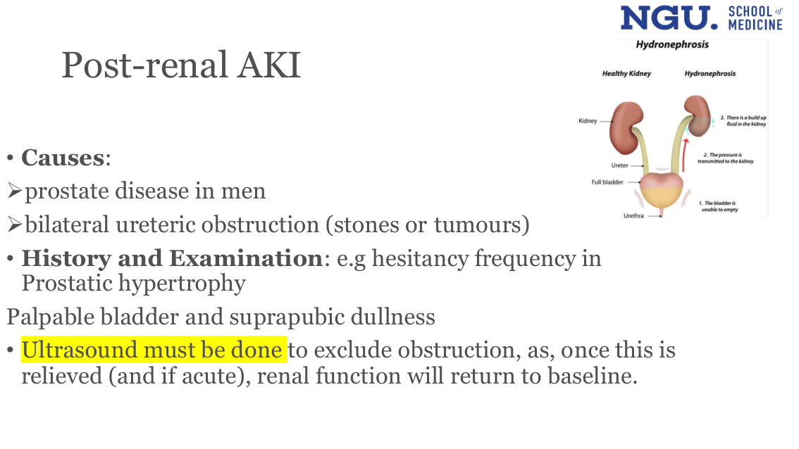 slide19.png