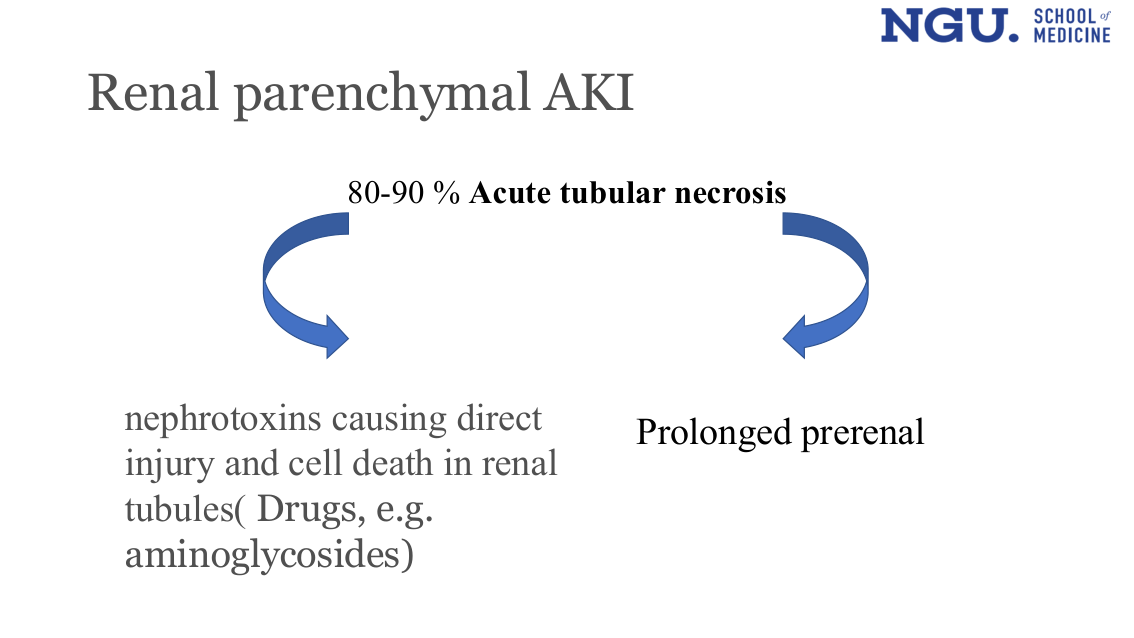 Renal parenchymal AKI - ATN causes (slide 20)