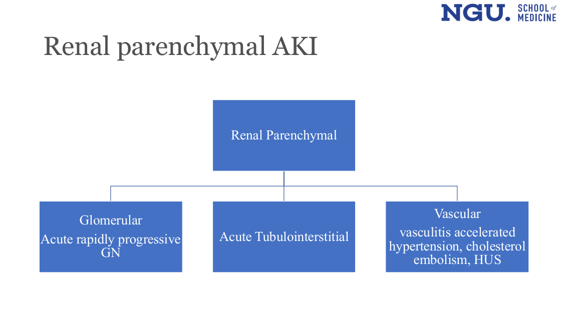 Renal parenchymal AKI - Glomerular/Tubulointerstitial/Vascular (slide 21)