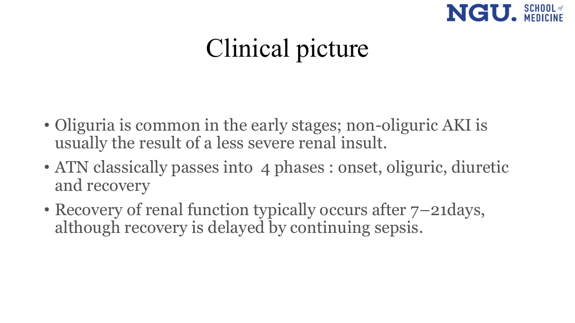 slide24.png (end of Clinical picture)