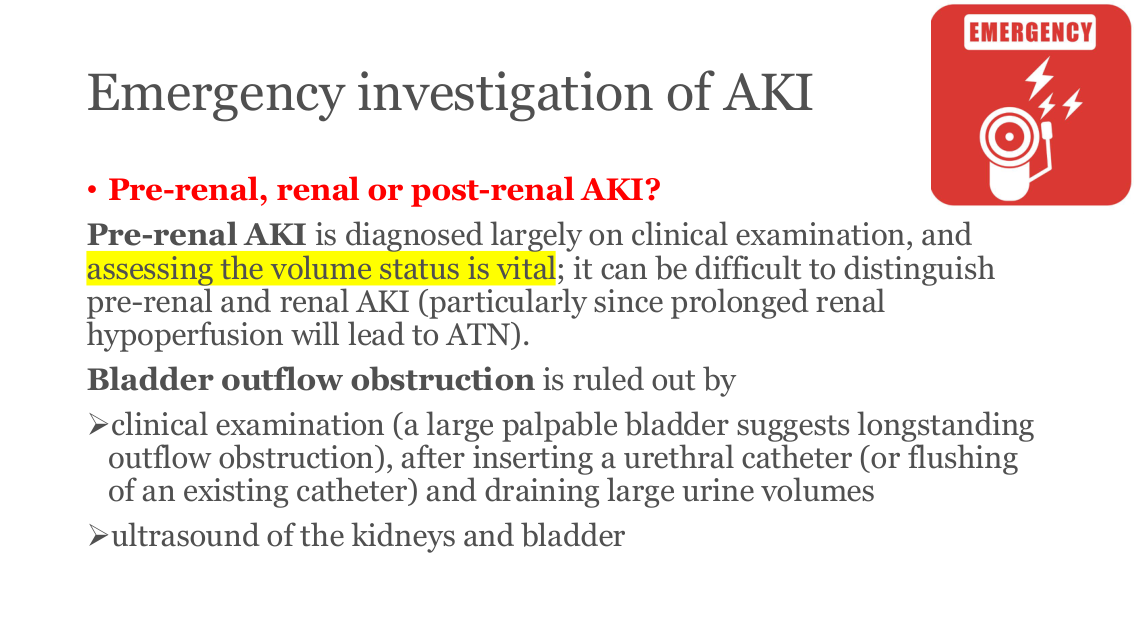 slide25.png (end of Emergency investigation of AKI)