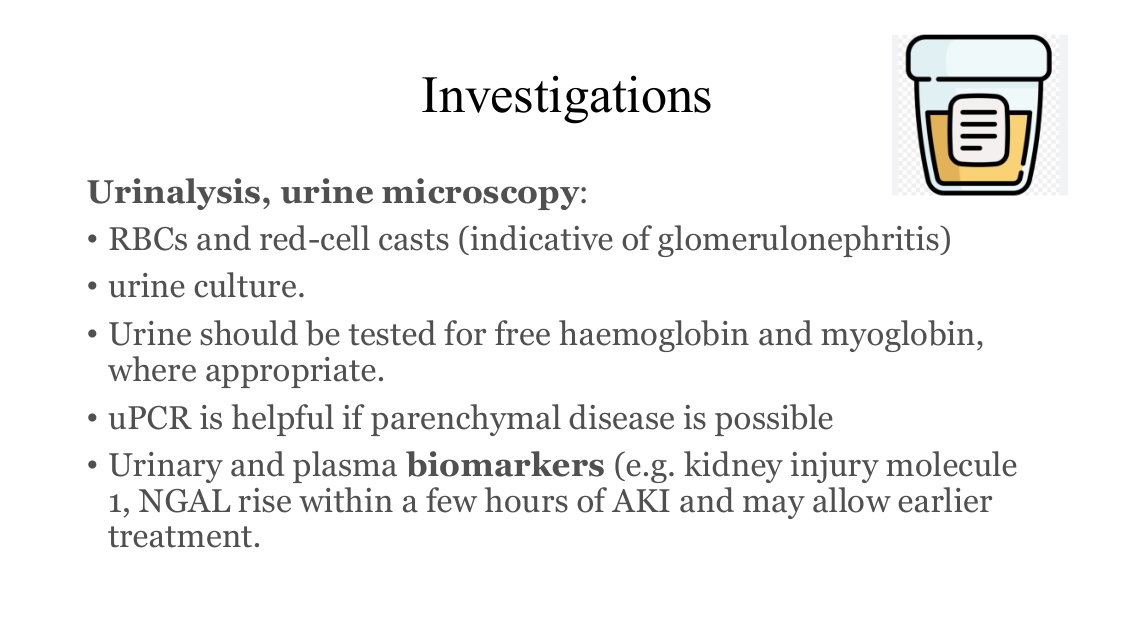 slide26.png (end of first Investigations slide)