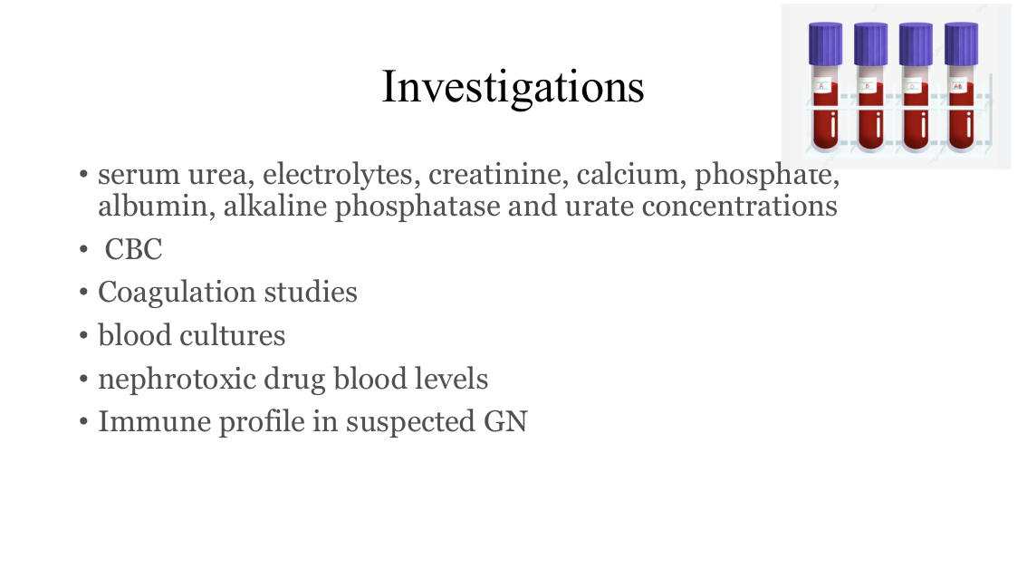 slide27.png (end of second Investigations slide)