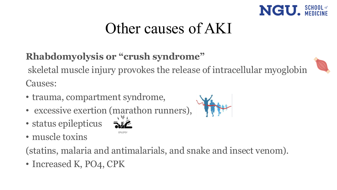 slide36.png (Rhabdomyolysis)