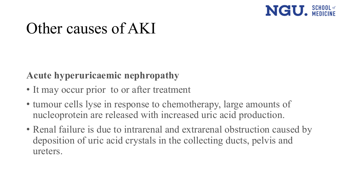 slide39.png (Acute hyperuricaemic nephropathy — pathophysiology)