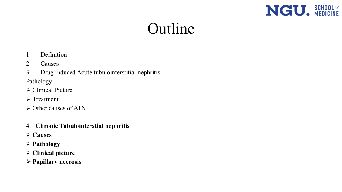 slide22.png — repeated Outline slide