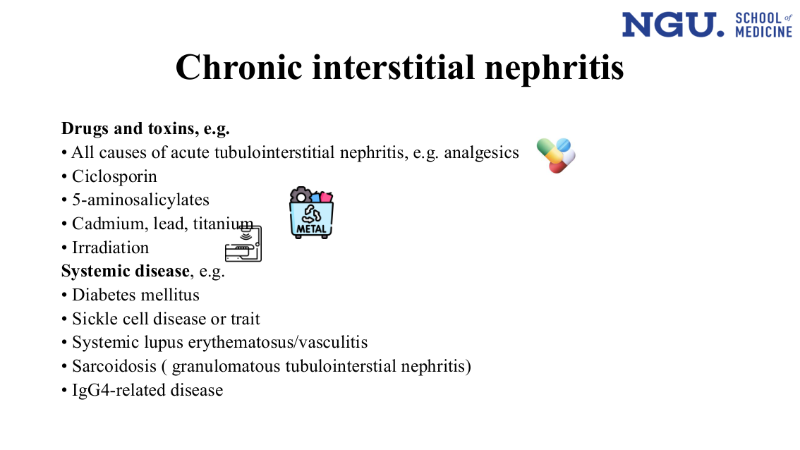 Chronic interstitial nephritis — drugs/toxins and systemic disease (slide 23)