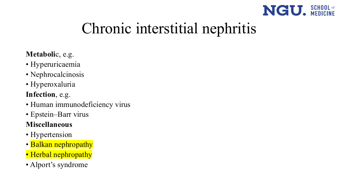 Chronic interstitial nephritis — metabolic/infection/miscellaneous (slide 24)