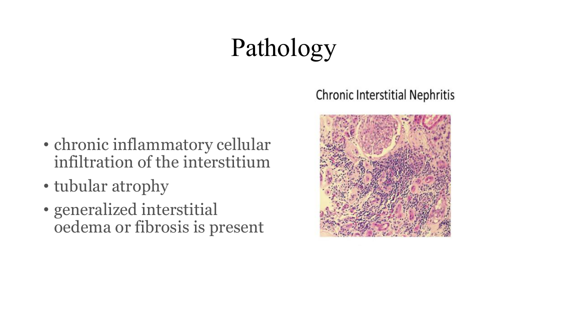 slide26.png — histology, chronic interstitial nephritis