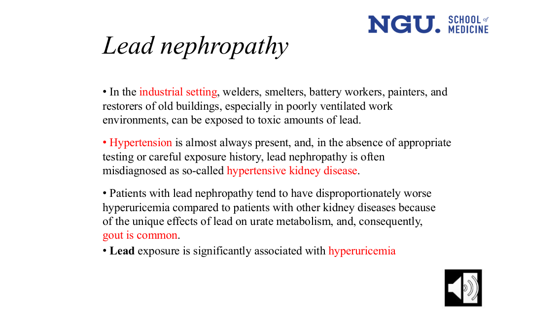 Lead nephropathy (slide 39)